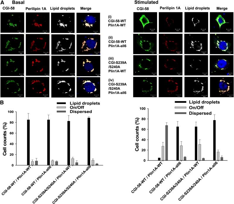 https://cdn.ncbi.nlm.nih.gov/pmc/blobs/63c0/4274058/43db18fa9541/109fig6.jpg