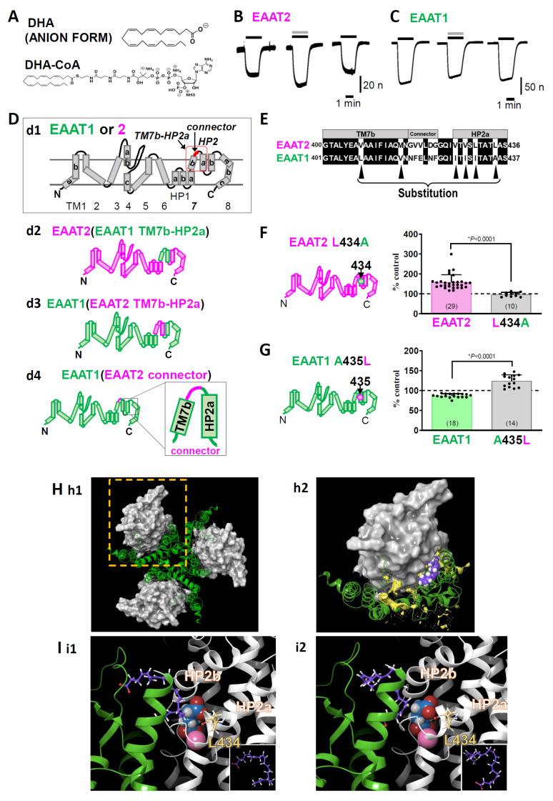 https://cdn.ncbi.nlm.nih.gov/pmc/blobs/63c9/11052088/1d16e81b6d12/membranes-14-00077-g002.jpg