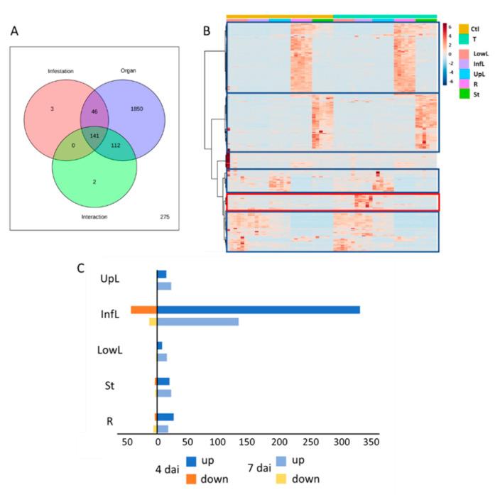 https://cdn.ncbi.nlm.nih.gov/pmc/blobs/63e9/9230075/6acc123fa69b/metabolites-12-00484-g001.jpg
