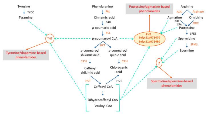 https://cdn.ncbi.nlm.nih.gov/pmc/blobs/63e9/9230075/7cc6125eeb8b/metabolites-12-00484-g007.jpg