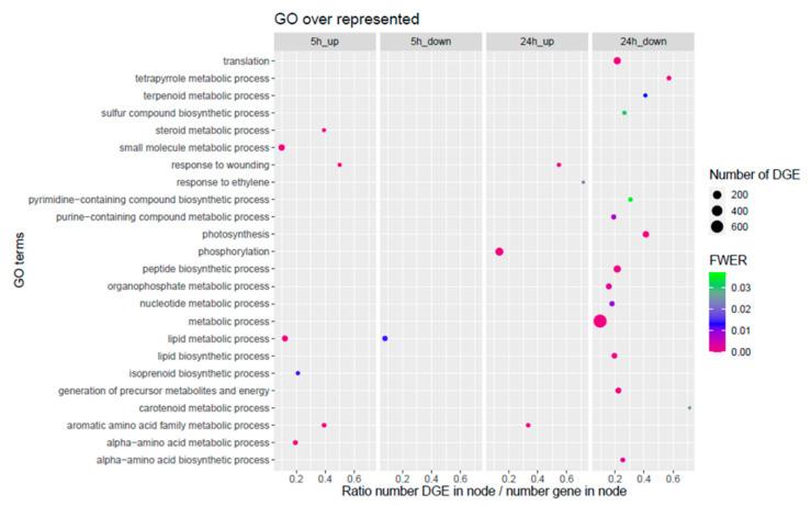 https://cdn.ncbi.nlm.nih.gov/pmc/blobs/63e9/9230075/8a3942cb8904/metabolites-12-00484-g004.jpg