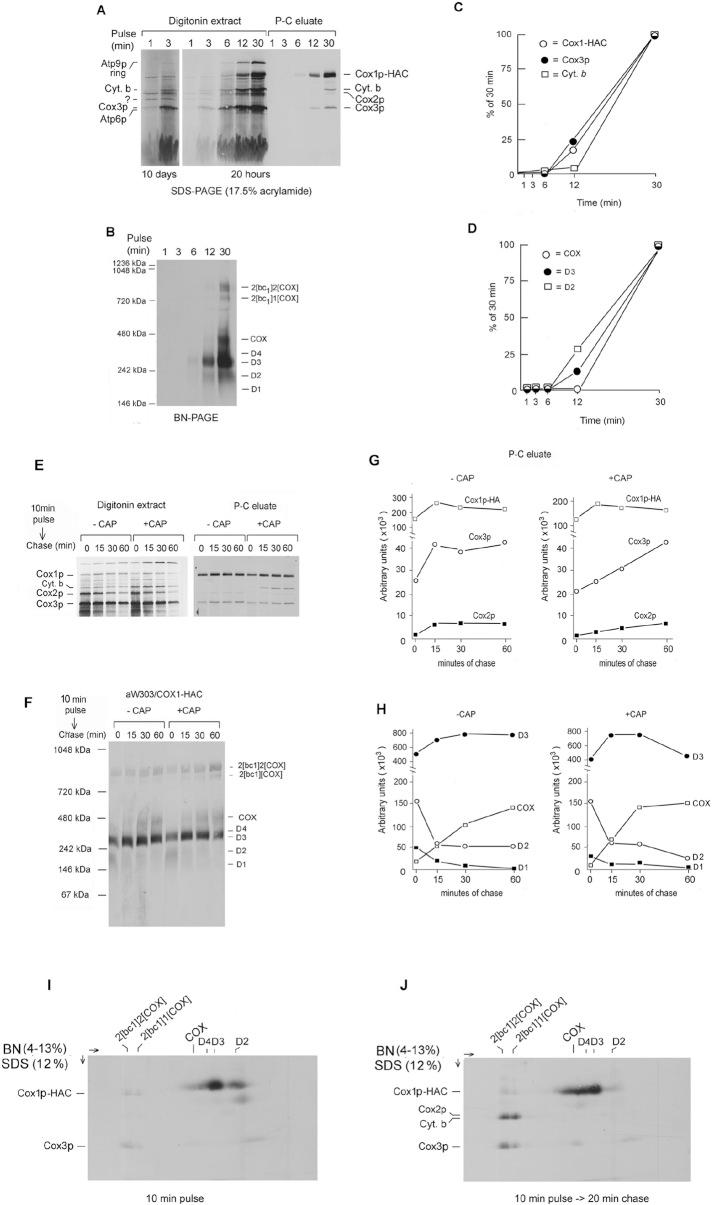 https://cdn.ncbi.nlm.nih.gov/pmc/blobs/6408/3571867/552135dac518/440fig3.jpg