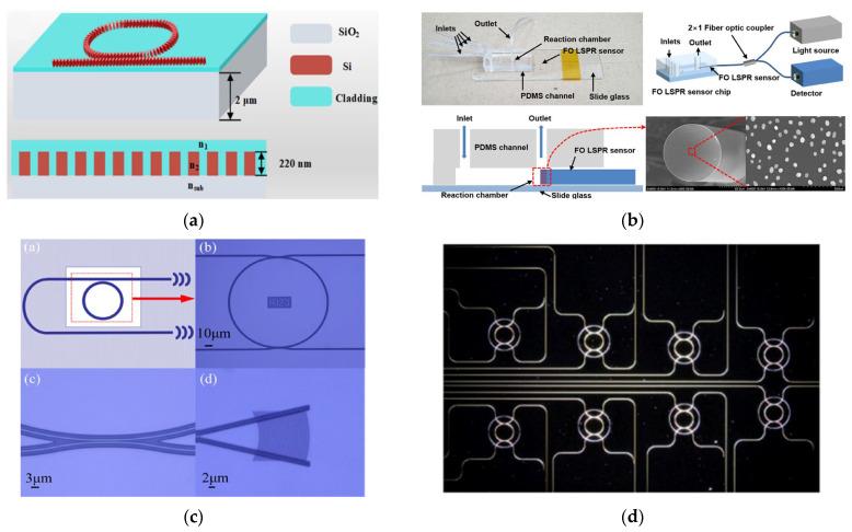 https://cdn.ncbi.nlm.nih.gov/pmc/blobs/6416/12385121/1a3e2a938b4b/biosensors-15-00473-g004.jpg