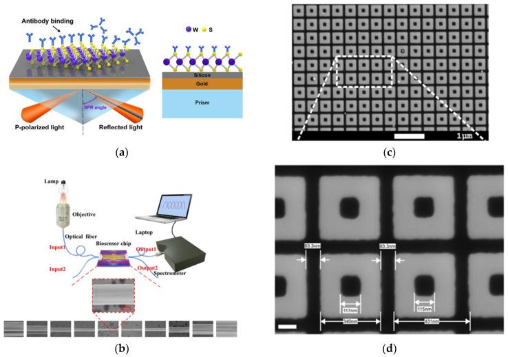 https://cdn.ncbi.nlm.nih.gov/pmc/blobs/6416/12385121/32d549351e5c/biosensors-15-00473-g003.jpg
