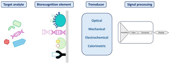 https://cdn.ncbi.nlm.nih.gov/pmc/blobs/6416/12385121/72e2fcec85db/biosensors-15-00473-g001.jpg