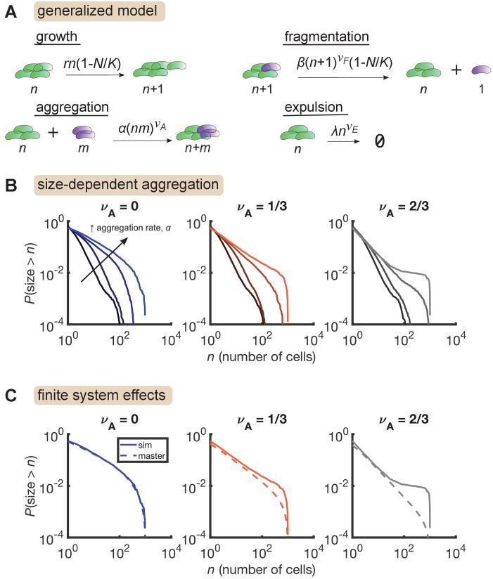 https://cdn.ncbi.nlm.nih.gov/pmc/blobs/6428/8514234/e4f9955e4990/elife-71105-fig4.jpg