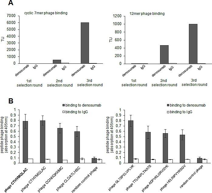 https://cdn.ncbi.nlm.nih.gov/pmc/blobs/6429/4196153/3c92622ca948/oncotarget-05-6647-g001.jpg