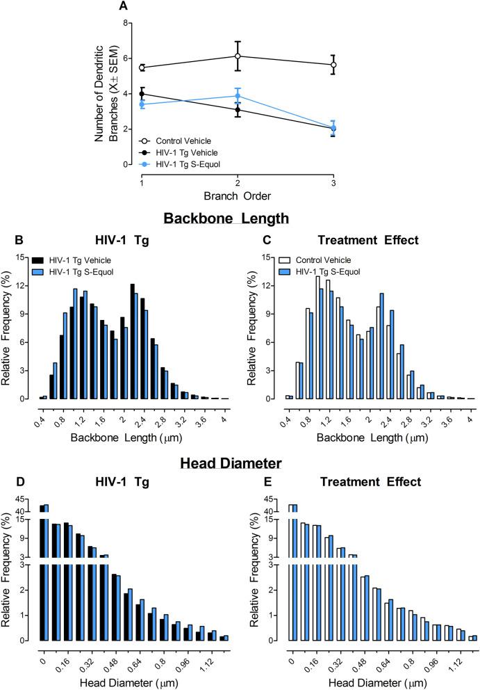 https://cdn.ncbi.nlm.nih.gov/pmc/blobs/6457/8178385/cb933707997c/41598_2021_91240_Fig6_HTML.jpg