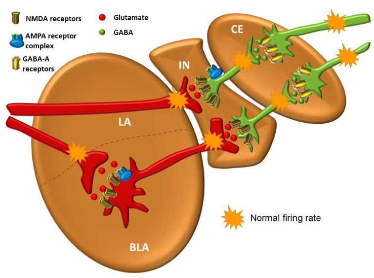 https://cdn.ncbi.nlm.nih.gov/pmc/blobs/6469/8228195/b39a5b055172/biomolecules-11-00823-g008.jpg