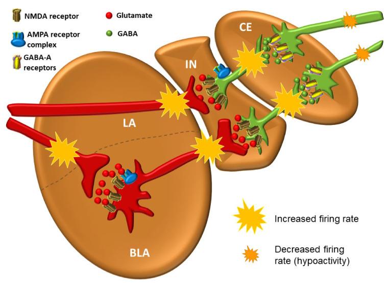 https://cdn.ncbi.nlm.nih.gov/pmc/blobs/6469/8228195/b6e064a12f13/biomolecules-11-00823-g009.jpg