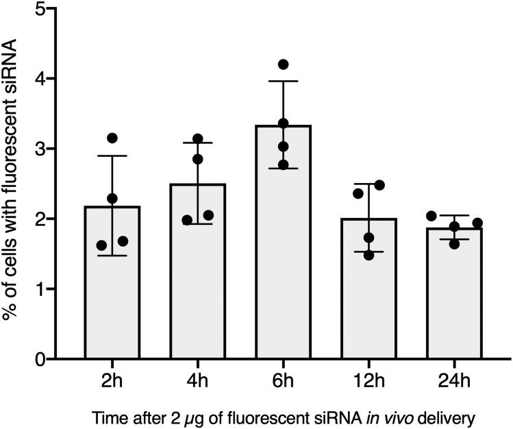 https://cdn.ncbi.nlm.nih.gov/pmc/blobs/646d/7908872/0cd3ec8db3d1/peerj-09-10895-g002.jpg