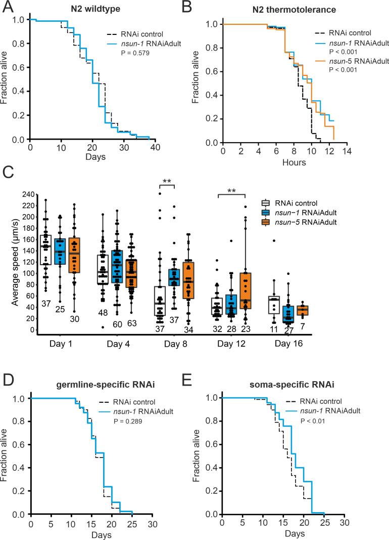 https://cdn.ncbi.nlm.nih.gov/pmc/blobs/6471/7746234/b5802f2a4a27/elife-56205-fig2.jpg