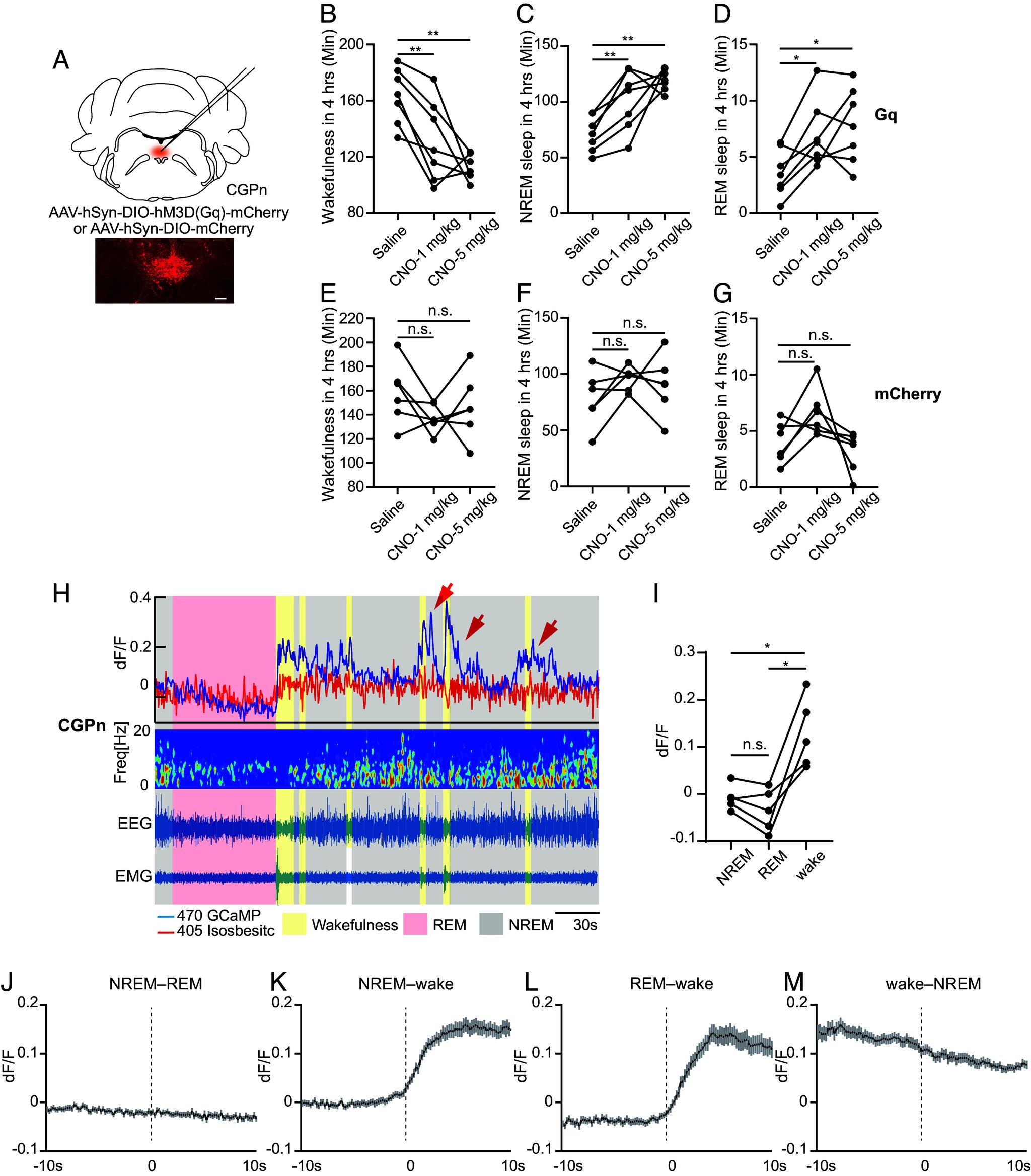 https://cdn.ncbi.nlm.nih.gov/pmc/blobs/6473/10907243/bb496b6d0579/pnas.2320276121fig05.jpg
