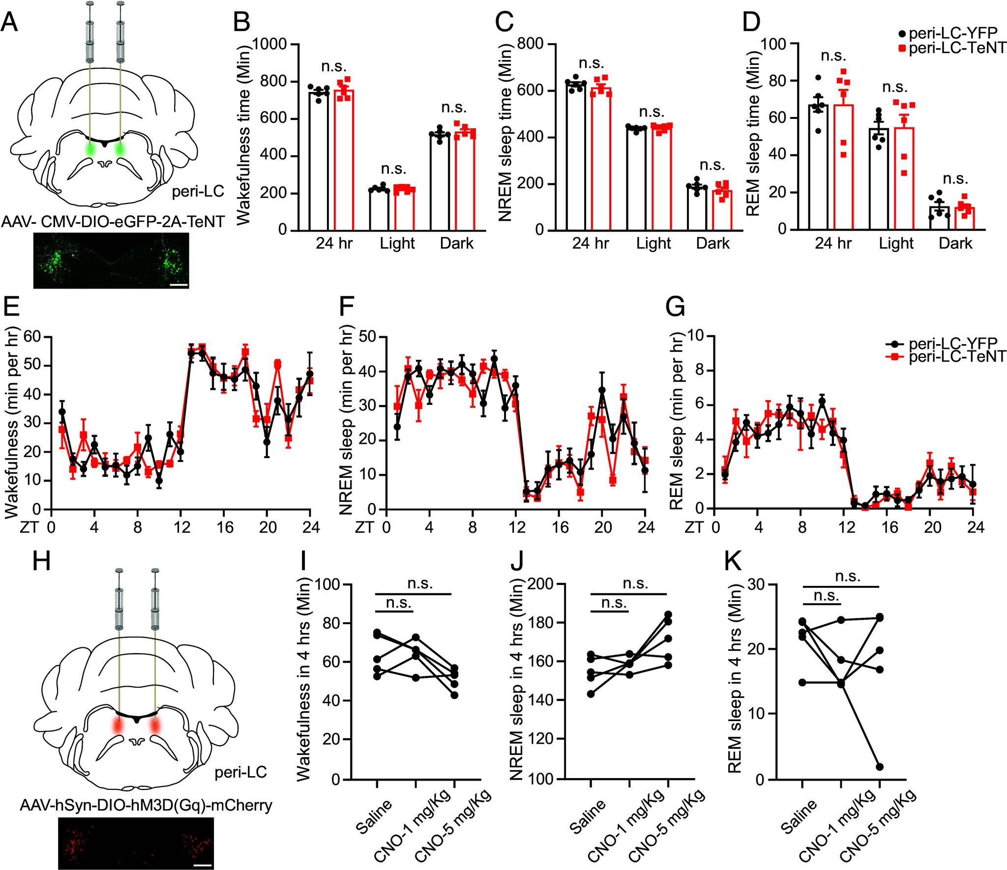 https://cdn.ncbi.nlm.nih.gov/pmc/blobs/6473/10907243/f90520a342f5/pnas.2320276121fig02.jpg
