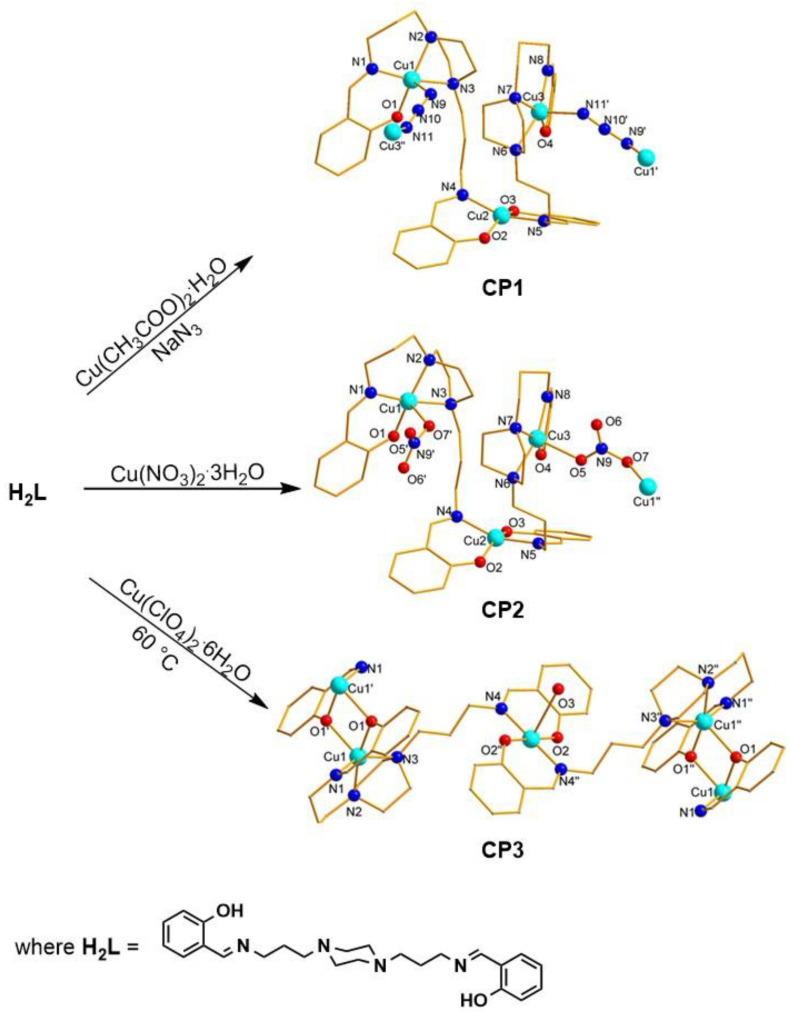 https://cdn.ncbi.nlm.nih.gov/pmc/blobs/6475/12029952/d2530b99a3b7/molecules-30-01652-g001.jpg