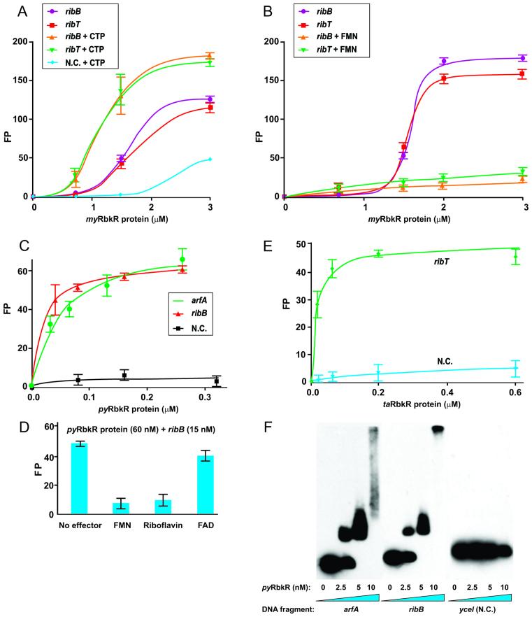 https://cdn.ncbi.nlm.nih.gov/pmc/blobs/647b/5397151/2b75766e07aa/gkw1331fig4.jpg