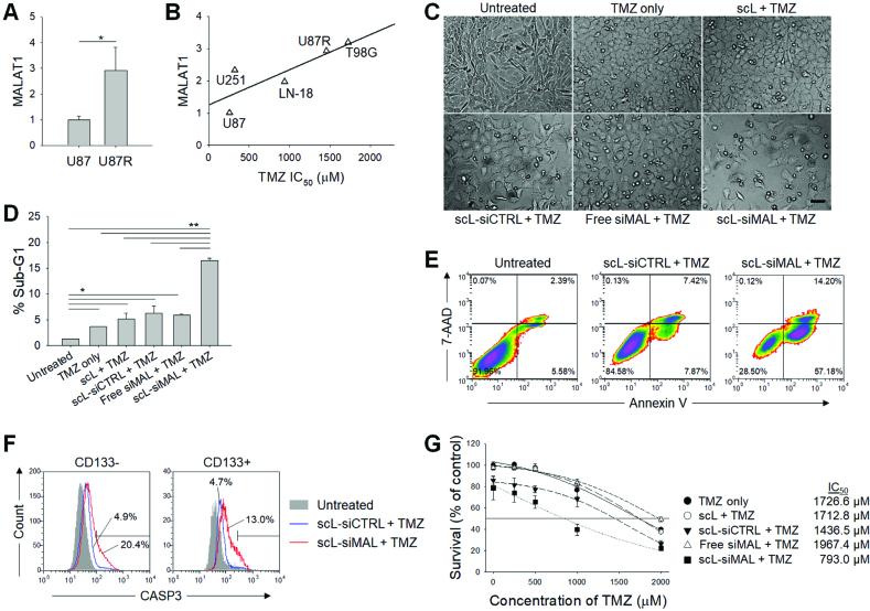 https://cdn.ncbi.nlm.nih.gov/pmc/blobs/6494/5815062/49392206715f/gkx1221fig3.jpg