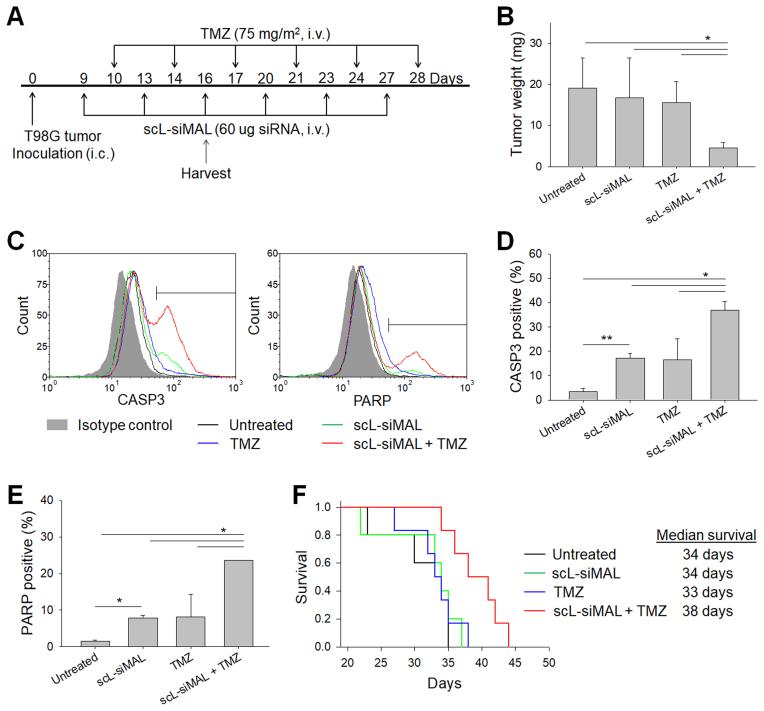 https://cdn.ncbi.nlm.nih.gov/pmc/blobs/6494/5815062/7f75335bc517/gkx1221fig8.jpg