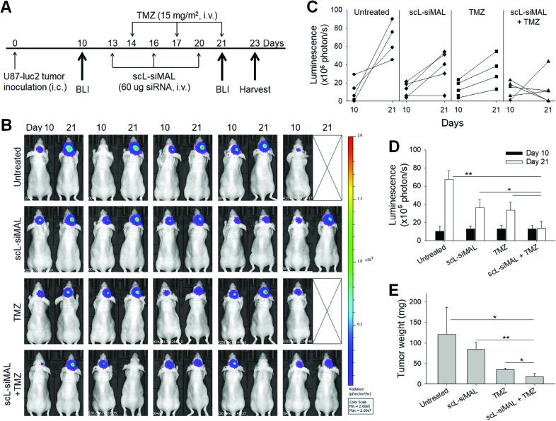 https://cdn.ncbi.nlm.nih.gov/pmc/blobs/6494/5815062/b7e15de43c15/gkx1221fig7.jpg