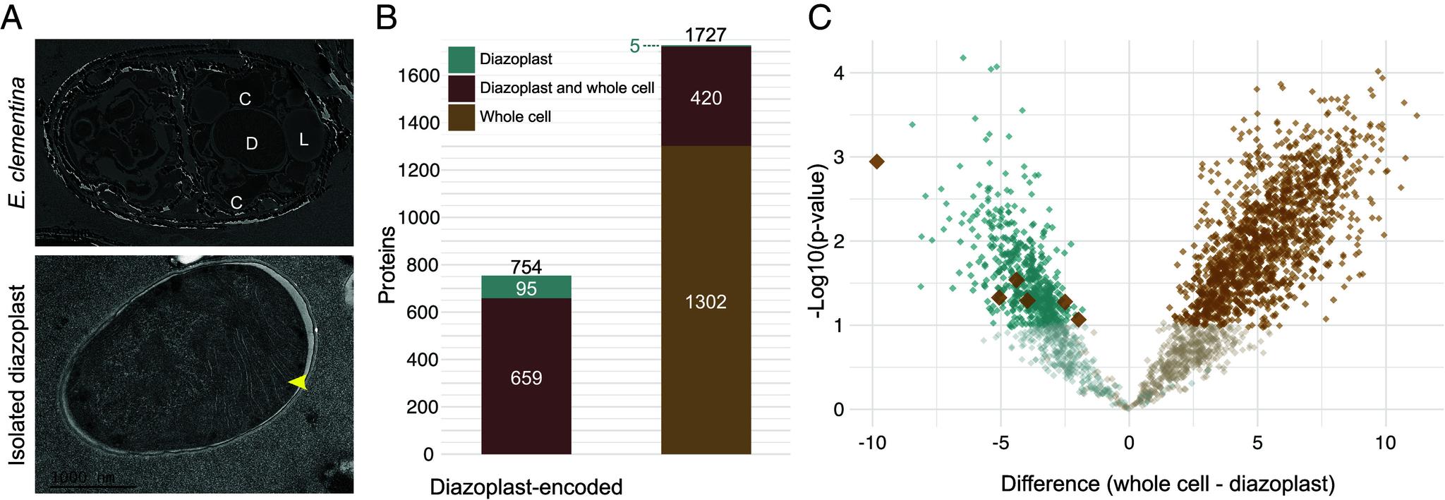 https://cdn.ncbi.nlm.nih.gov/pmc/blobs/649f/12377750/3458be715bef/pnas.2507237122fig04.jpg