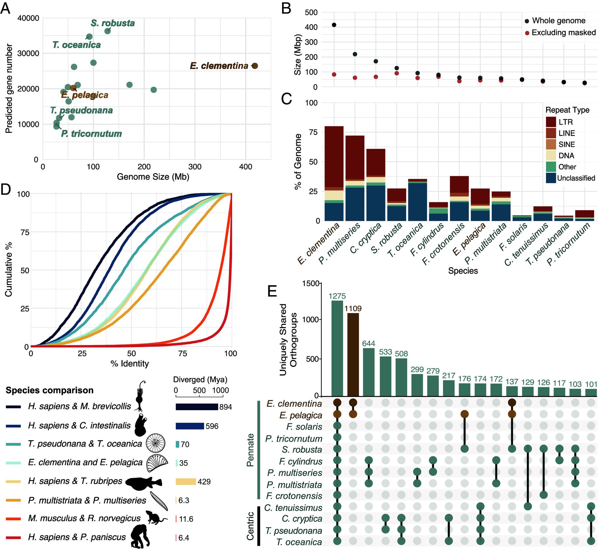 https://cdn.ncbi.nlm.nih.gov/pmc/blobs/649f/12377750/f041bc27c35b/pnas.2507237122fig01.jpg