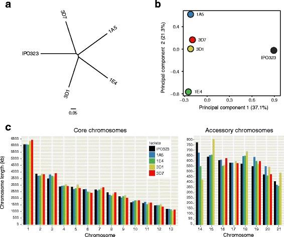 https://cdn.ncbi.nlm.nih.gov/pmc/blobs/64a1/5765654/c4e742ce6cac/12915_2017_457_Fig1_HTML.jpg