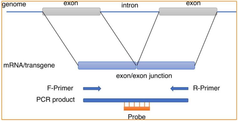 https://cdn.ncbi.nlm.nih.gov/pmc/blobs/64bf/10386588/39f67c09a5d4/molecules-28-05483-g007.jpg