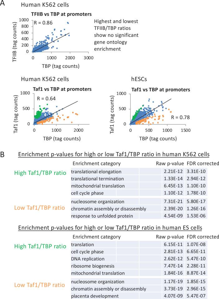 https://cdn.ncbi.nlm.nih.gov/pmc/blobs/64d1/8463073/126ed0a88d0e/elife-67964-fig6-figsupp2.jpg