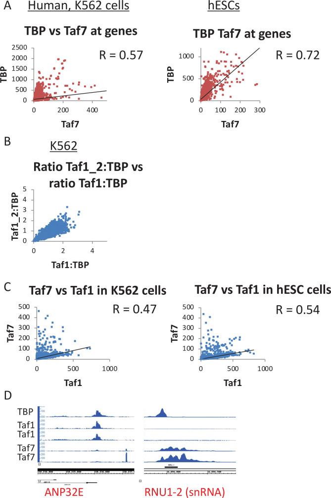 https://cdn.ncbi.nlm.nih.gov/pmc/blobs/64d1/8463073/2ca399f5d67d/elife-67964-fig7-figsupp1.jpg