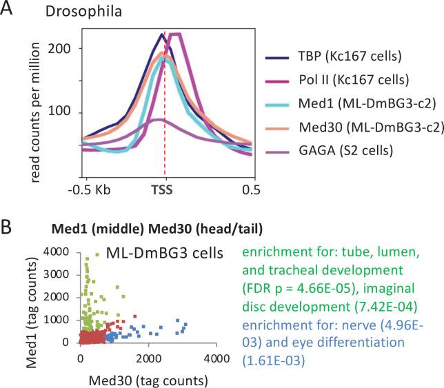 https://cdn.ncbi.nlm.nih.gov/pmc/blobs/64d1/8463073/7f3ff4674d33/elife-67964-fig4.jpg