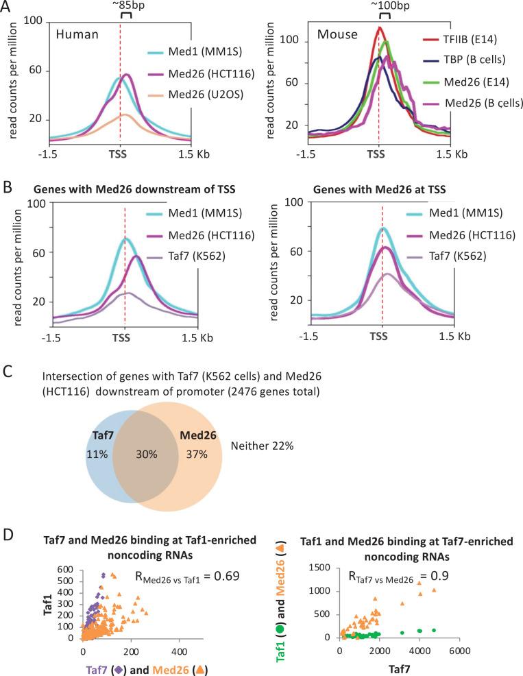 https://cdn.ncbi.nlm.nih.gov/pmc/blobs/64d1/8463073/8fa7fda1088a/elife-67964-fig8.jpg