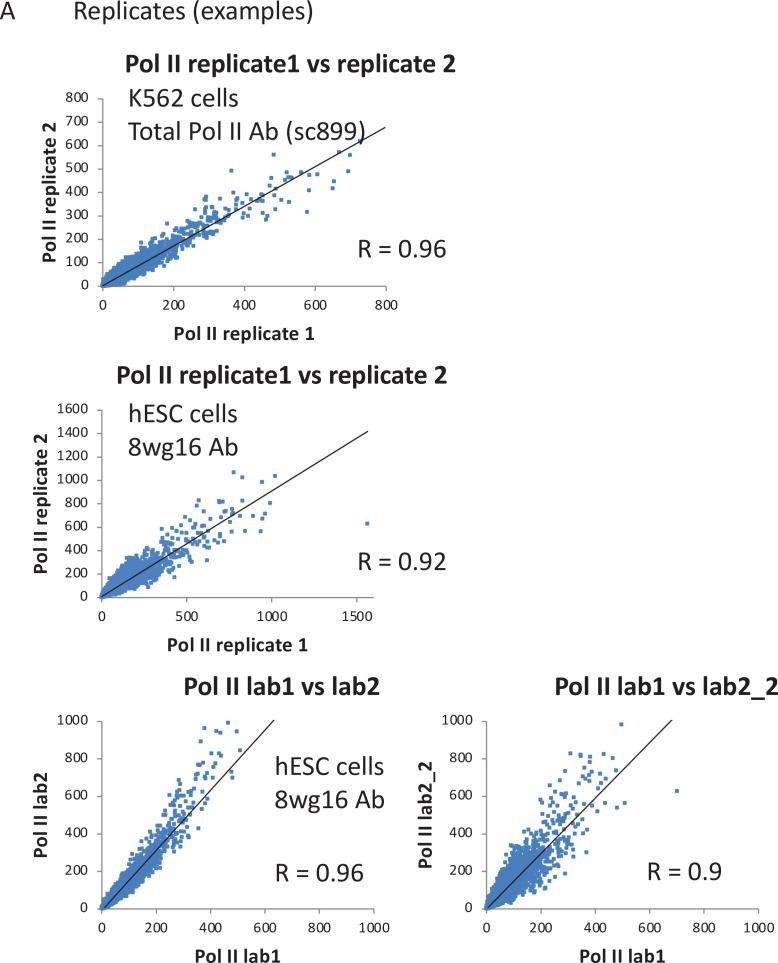 https://cdn.ncbi.nlm.nih.gov/pmc/blobs/64d1/8463073/a50e61d60ecd/elife-67964-fig5-figsupp1.jpg