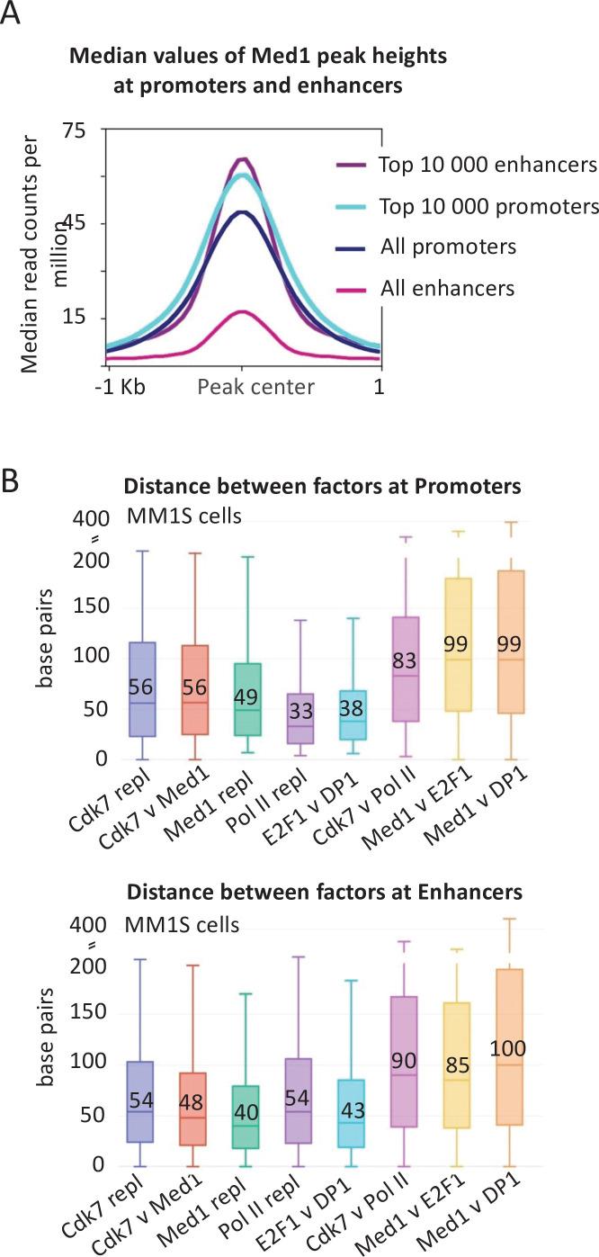 https://cdn.ncbi.nlm.nih.gov/pmc/blobs/64d1/8463073/acf77124dce0/elife-67964-fig2.jpg