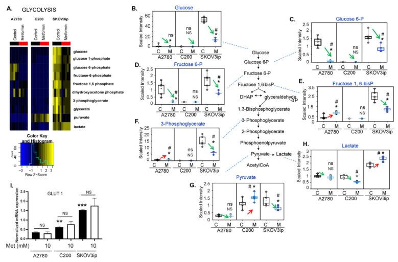 https://cdn.ncbi.nlm.nih.gov/pmc/blobs/64e3/8946838/17cb6c7b100c/cancers-14-01504-g002.jpg