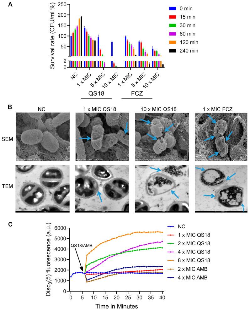 https://cdn.ncbi.nlm.nih.gov/pmc/blobs/64eb/11728142/1471d926e92d/microorganisms-12-02648-g005.jpg