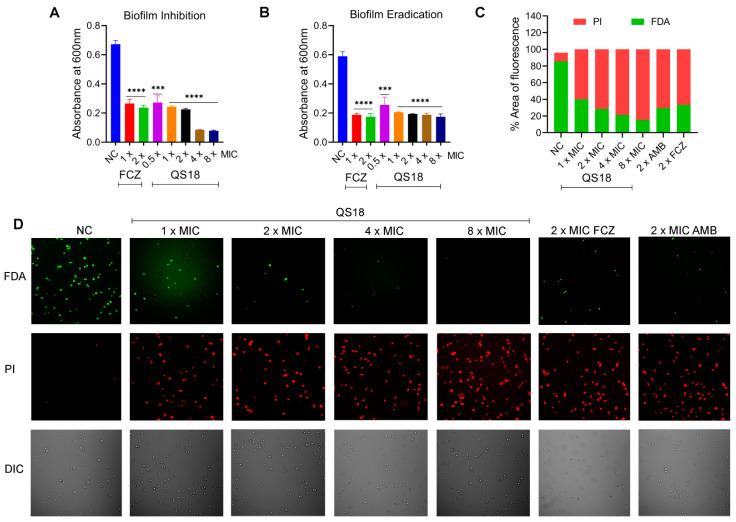 https://cdn.ncbi.nlm.nih.gov/pmc/blobs/64eb/11728142/4d945c66dd82/microorganisms-12-02648-g006.jpg
