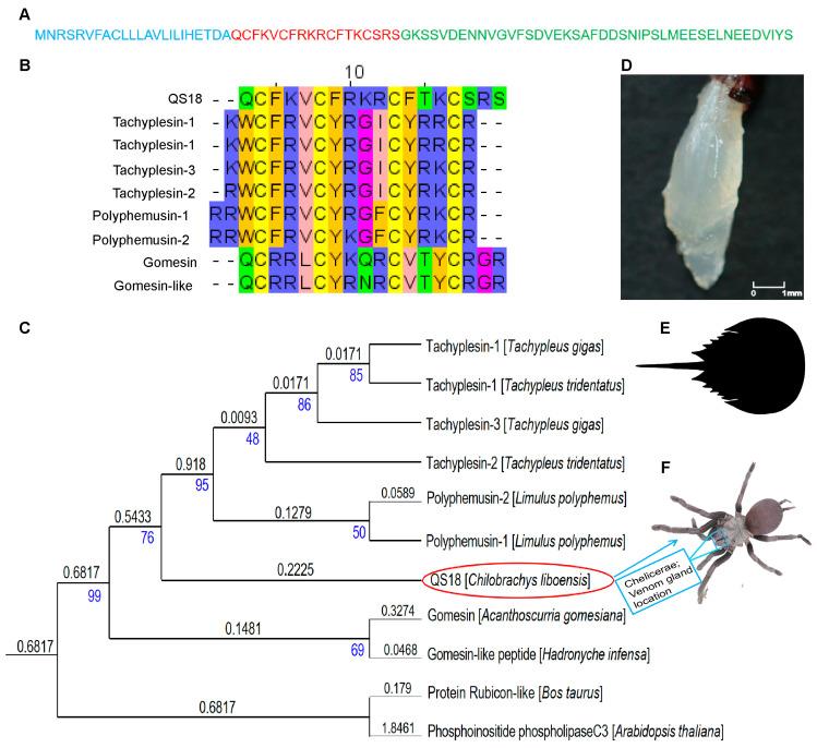 https://cdn.ncbi.nlm.nih.gov/pmc/blobs/64eb/11728142/6a50438391a1/microorganisms-12-02648-g001.jpg