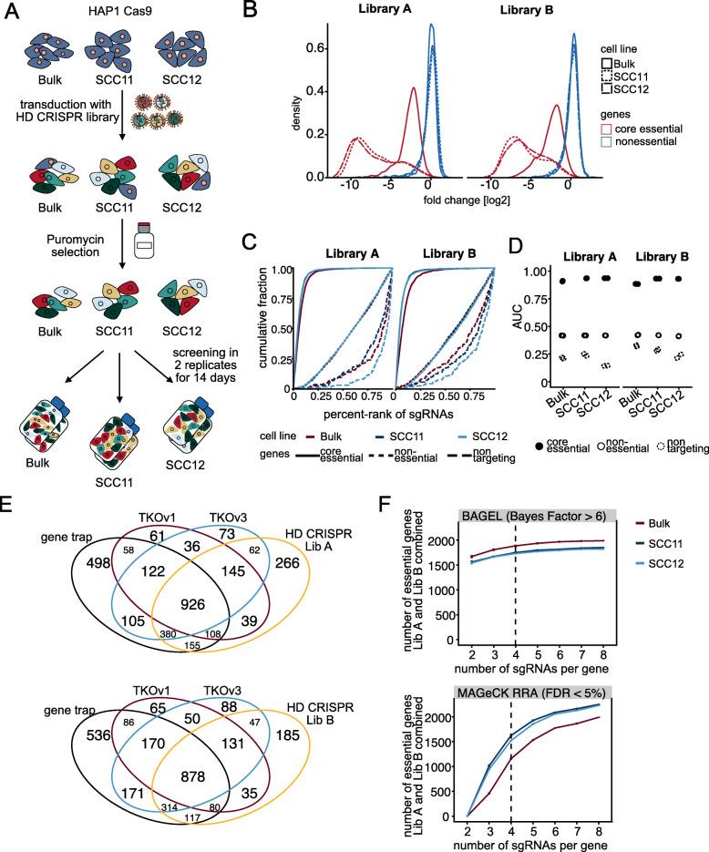https://cdn.ncbi.nlm.nih.gov/pmc/blobs/64f6/7686728/60afd584061d/12915_2020_905_Fig4_HTML.jpg