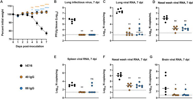 https://cdn.ncbi.nlm.nih.gov/pmc/blobs/650b/8054860/2223e7d4fc08/figs7.jpg