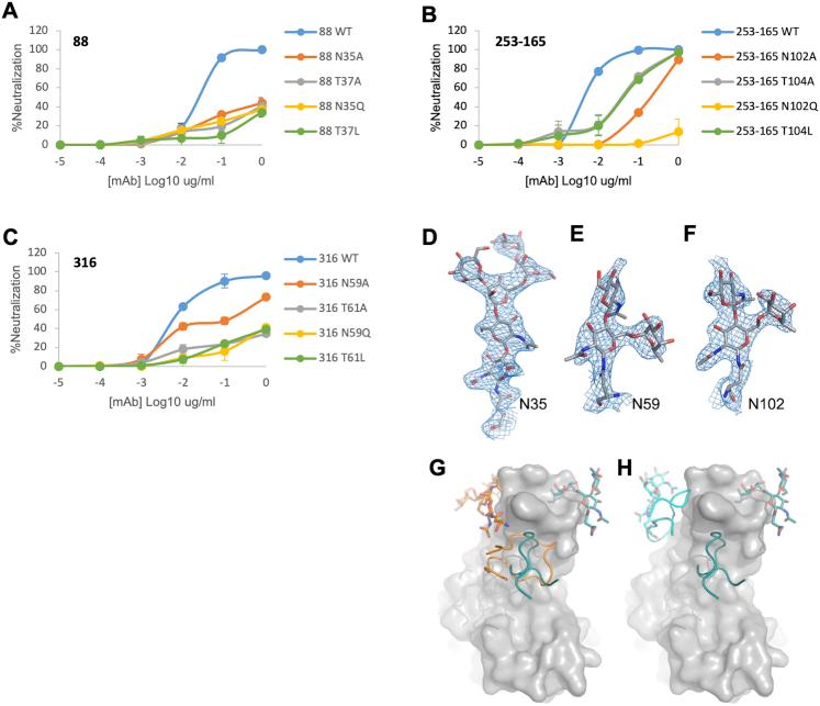 https://cdn.ncbi.nlm.nih.gov/pmc/blobs/650b/8054860/9f2bf7a23fcb/figs6.jpg