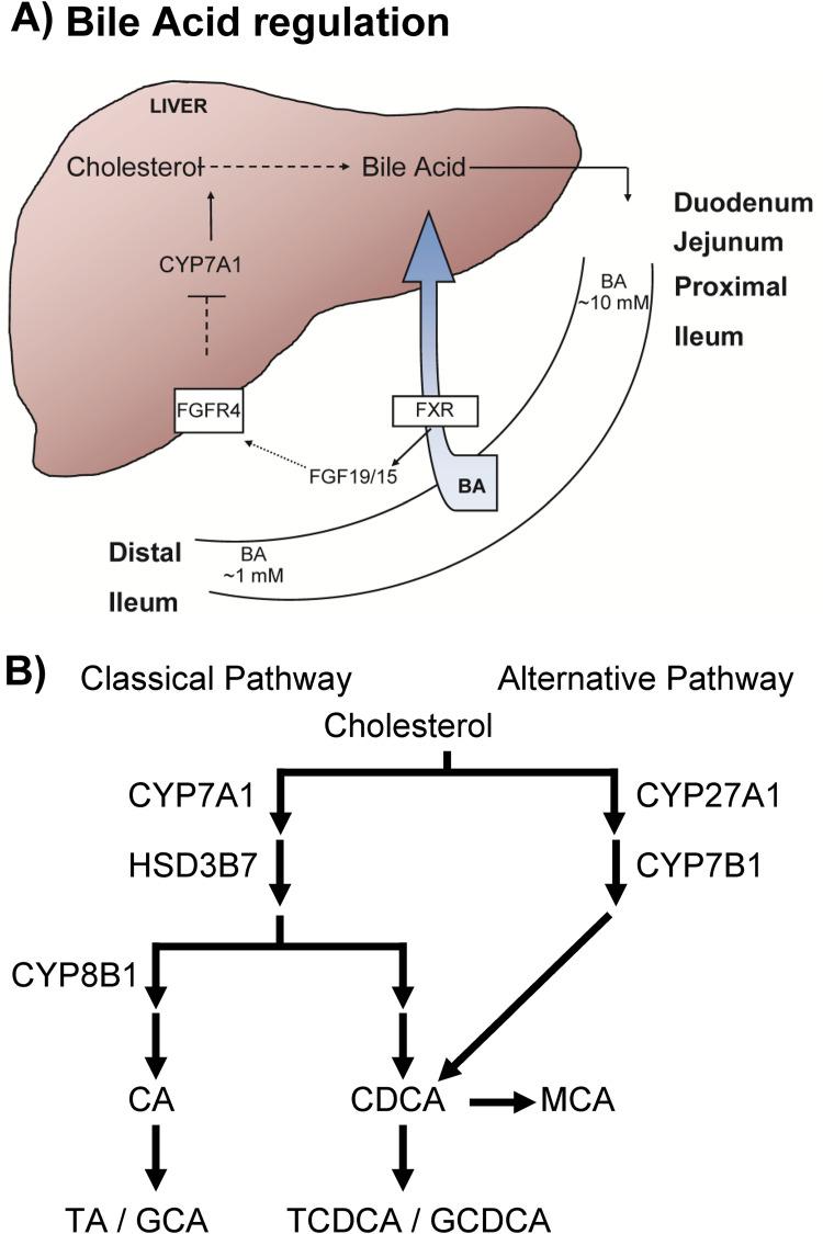 https://cdn.ncbi.nlm.nih.gov/pmc/blobs/6510/8555850/b0a2a43b2b25/ppat.1010015.g001.jpg