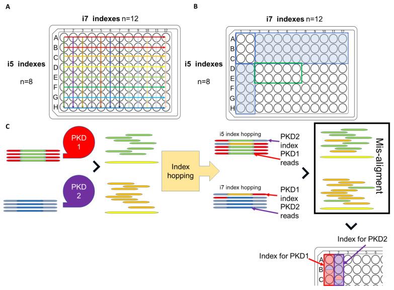 https://cdn.ncbi.nlm.nih.gov/pmc/blobs/6521/9913990/40c00124f0b3/cells-12-00493-g003.jpg
