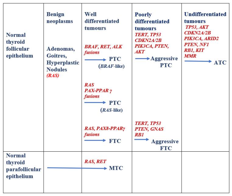 https://cdn.ncbi.nlm.nih.gov/pmc/blobs/6539/8147376/c220ce5c5de5/cells-10-01082-g001.jpg