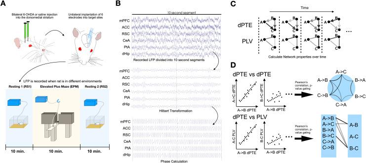 https://cdn.ncbi.nlm.nih.gov/pmc/blobs/6547/9810363/10e18d9d9797/netn-06-816-g001.jpg
