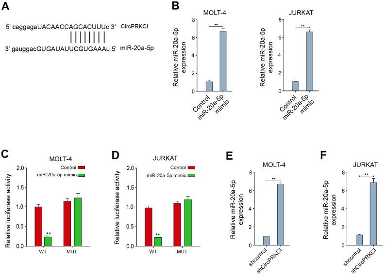 https://cdn.ncbi.nlm.nih.gov/pmc/blobs/6553/8580332/4c7bf542a073/aging-13-203647-g003.jpg