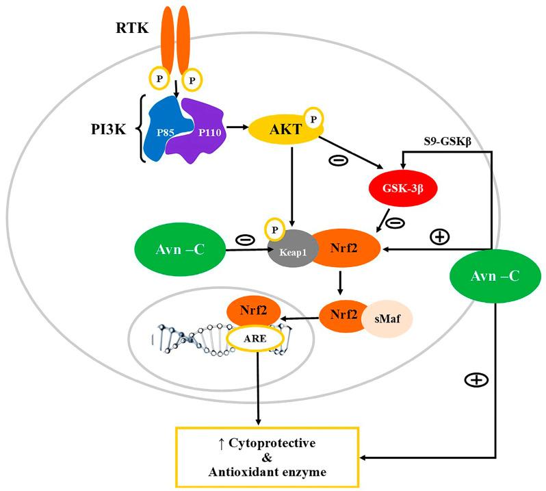 https://cdn.ncbi.nlm.nih.gov/pmc/blobs/6559/10489942/70668a9bafed/nutrients-15-03751-g002.jpg