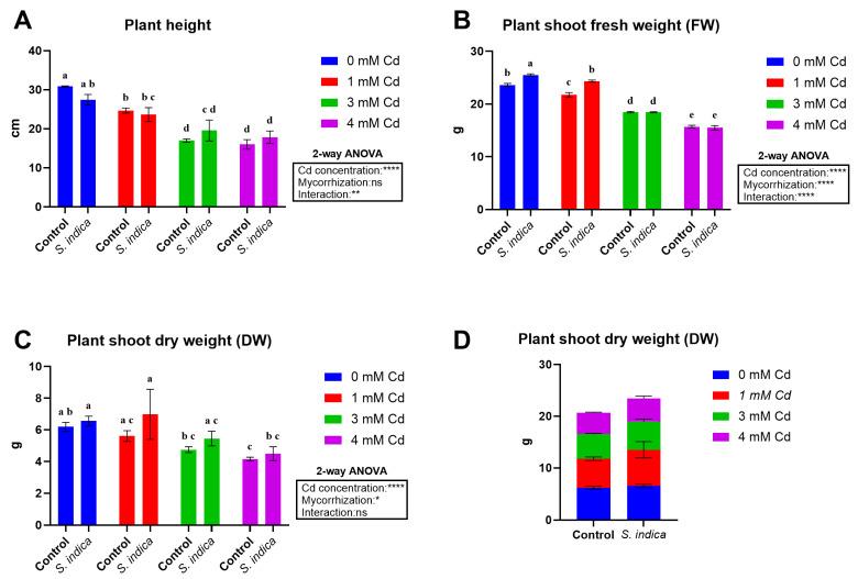 https://cdn.ncbi.nlm.nih.gov/pmc/blobs/6565/12431328/bf7270a1a900/plants-14-02773-g002.jpg