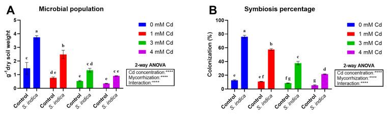 https://cdn.ncbi.nlm.nih.gov/pmc/blobs/6565/12431328/fca0fcc0492b/plants-14-02773-g008.jpg