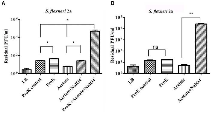 https://cdn.ncbi.nlm.nih.gov/pmc/blobs/6577/10716491/52911fa45ac9/fmicb-14-1240570-g0008.jpg