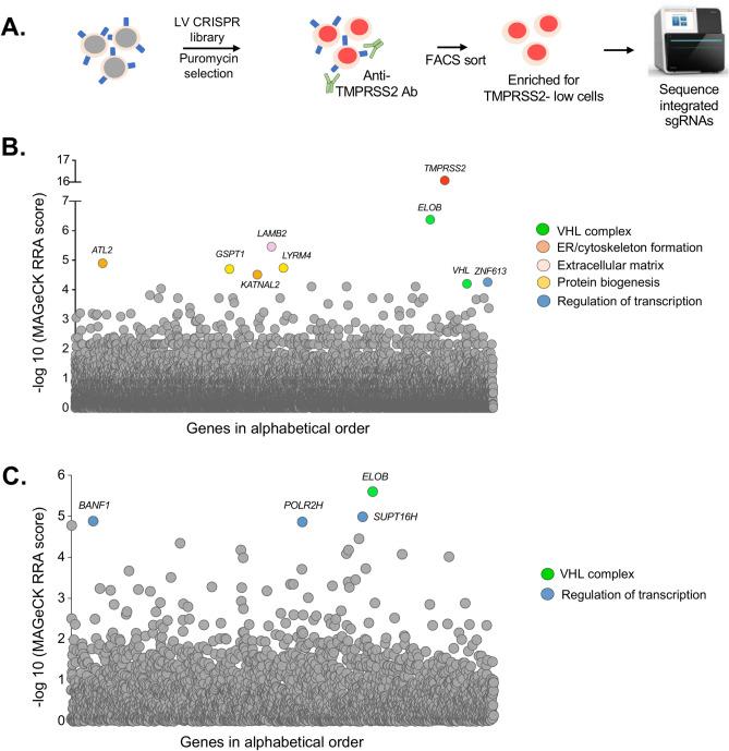 https://cdn.ncbi.nlm.nih.gov/pmc/blobs/658a/11976923/fea5f797f8e6/41598_2025_95644_Fig3_HTML.jpg
